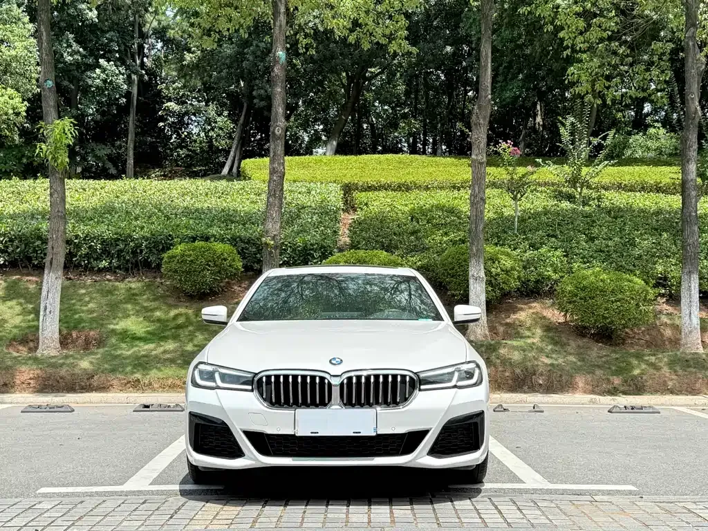 BMW 5 Series — фото 2