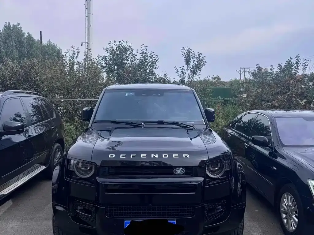 Land Rover Defender — фото 1