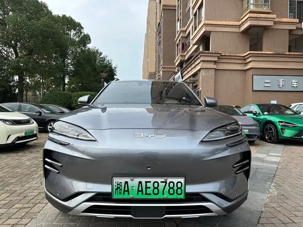 BYD PLUS New Energy — фото 2
