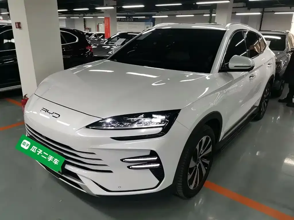 BYD PLUS New Energy — фото 2