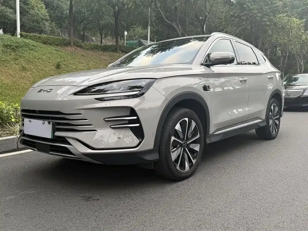 BYD PLUS New Energy — фото 1