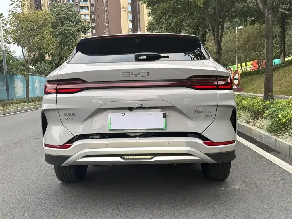 BYD PLUS New Energy — фото 4