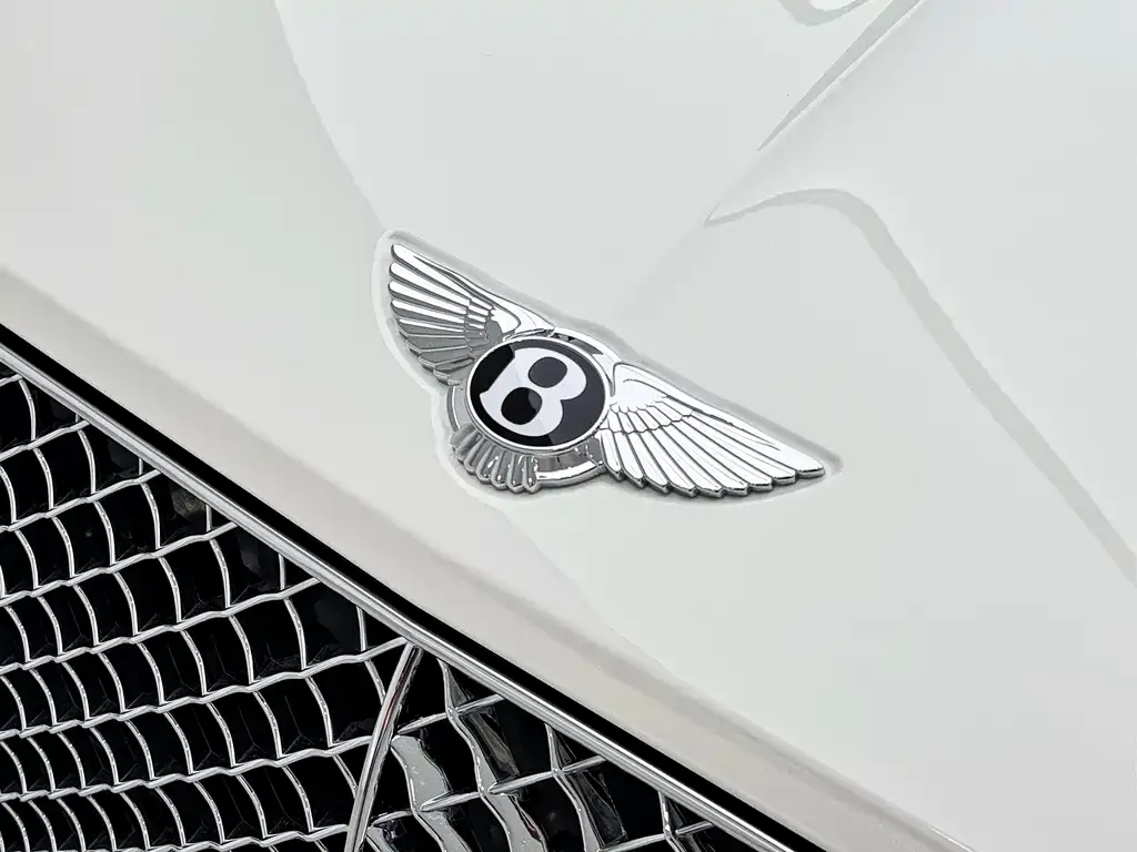 Bentley Continental — фото 10
