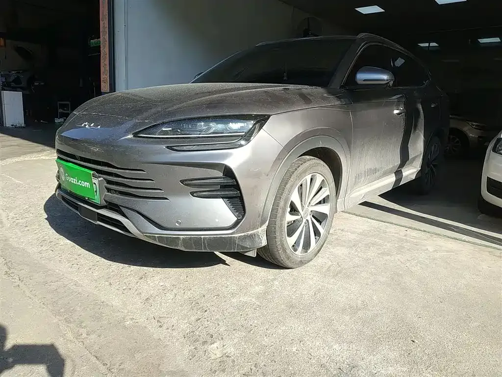 BYD PLUS New Energy — фото 2