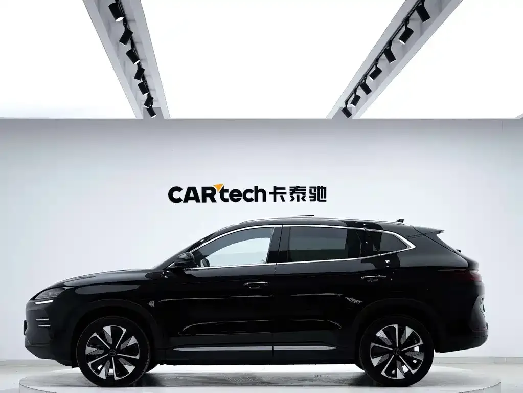 BYD PLUS New Energy — фото 2