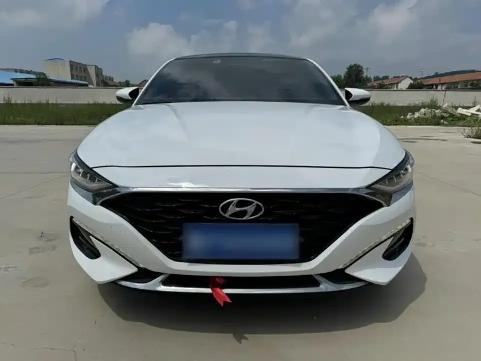 Hyundai Fista — фото 4