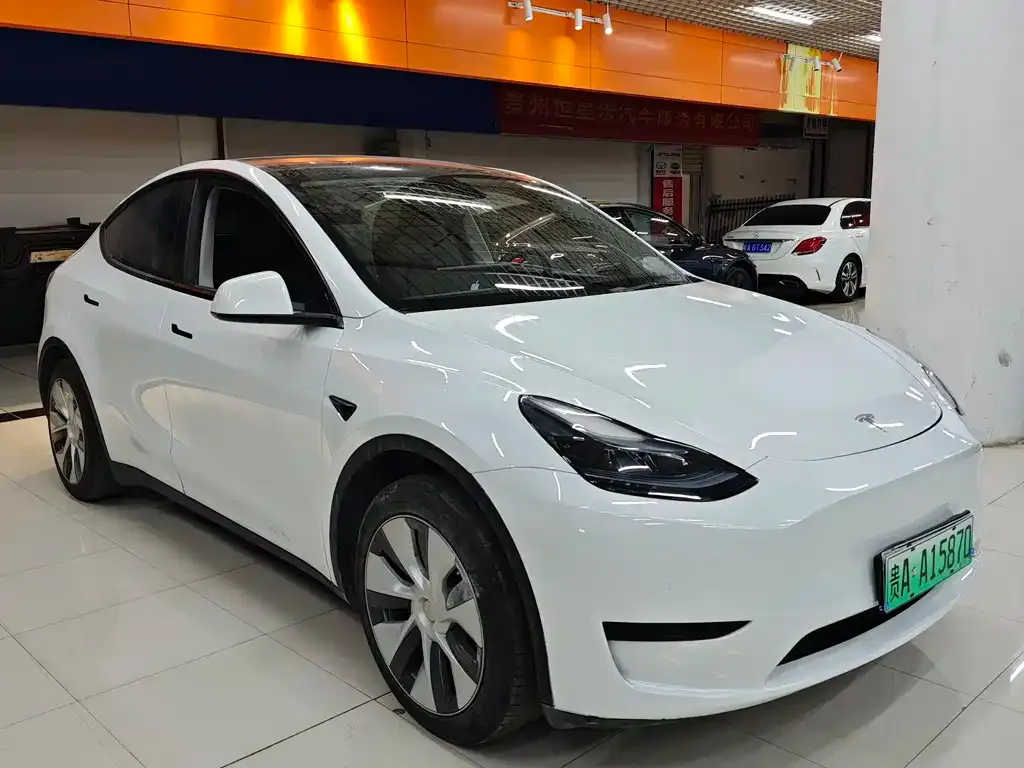 Tesla Model Y — фото 1