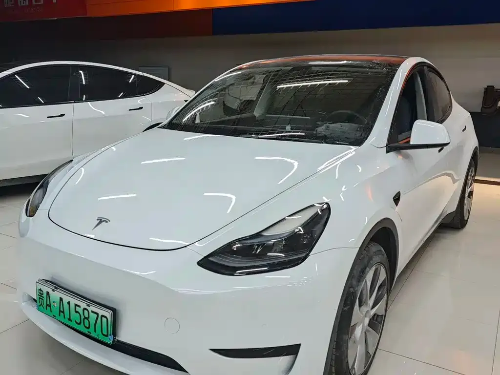 Tesla Model Y — фото 2