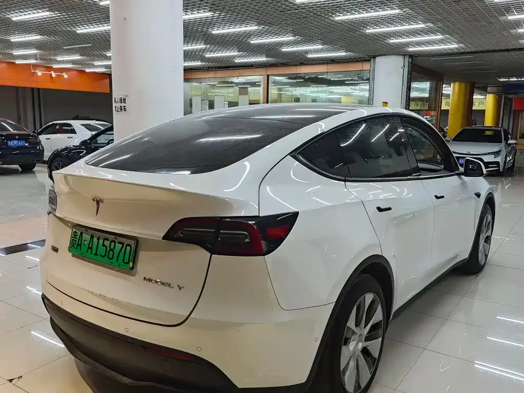 Tesla Model Y — фото 6