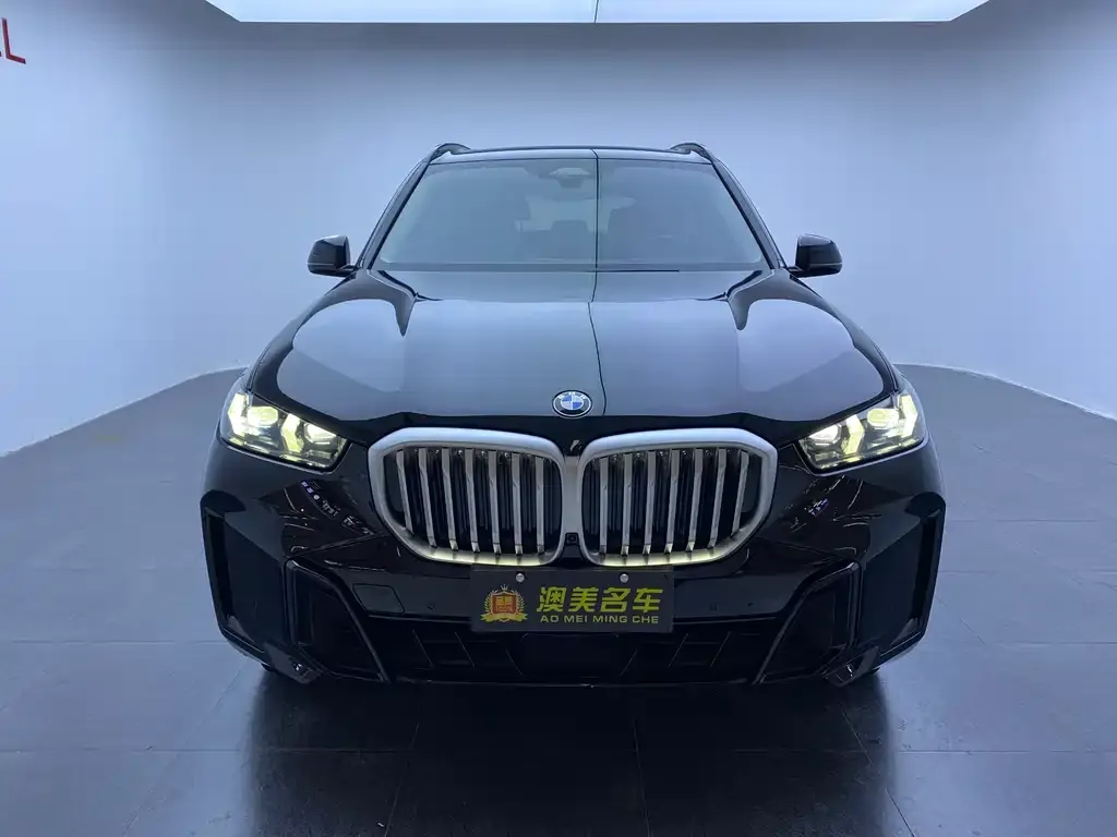 BMW X5 — фото 2