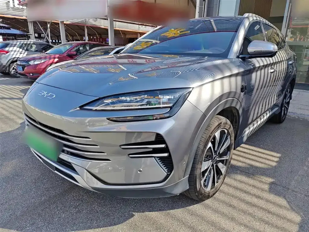 BYD PLUS New Energy — фото 1