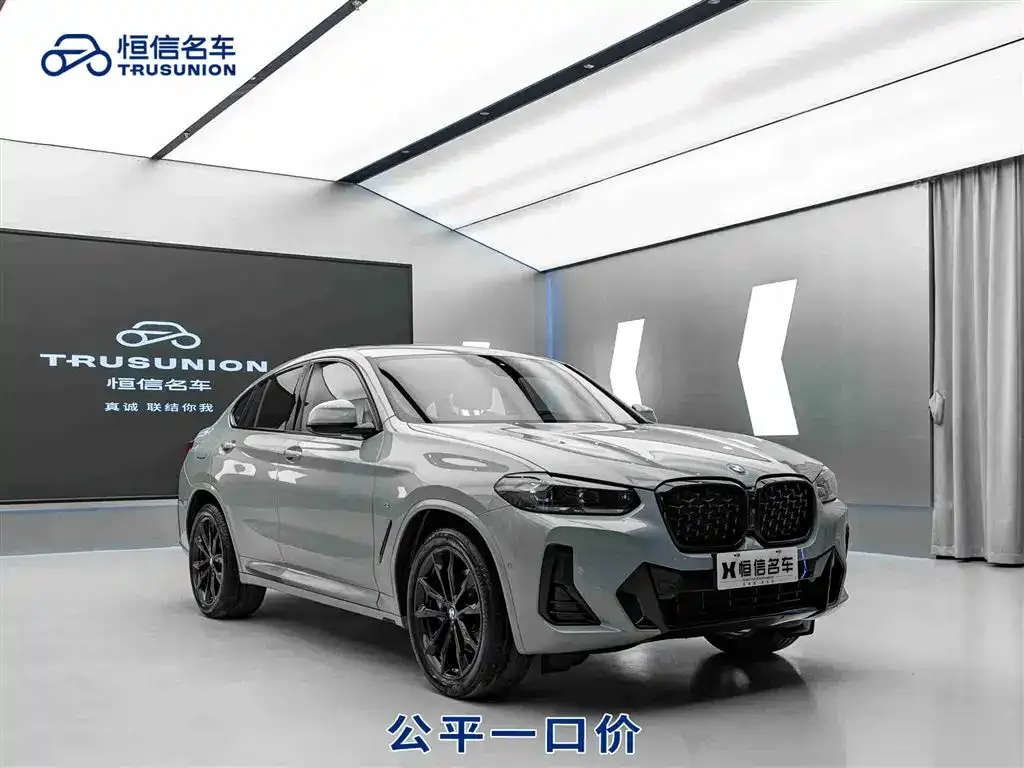 BMW X4 — фото 1