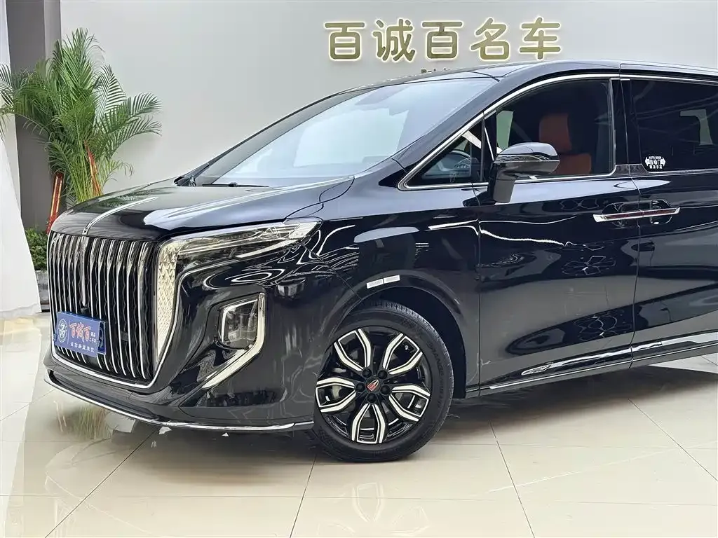 Hongqi HQ9 — фото 3