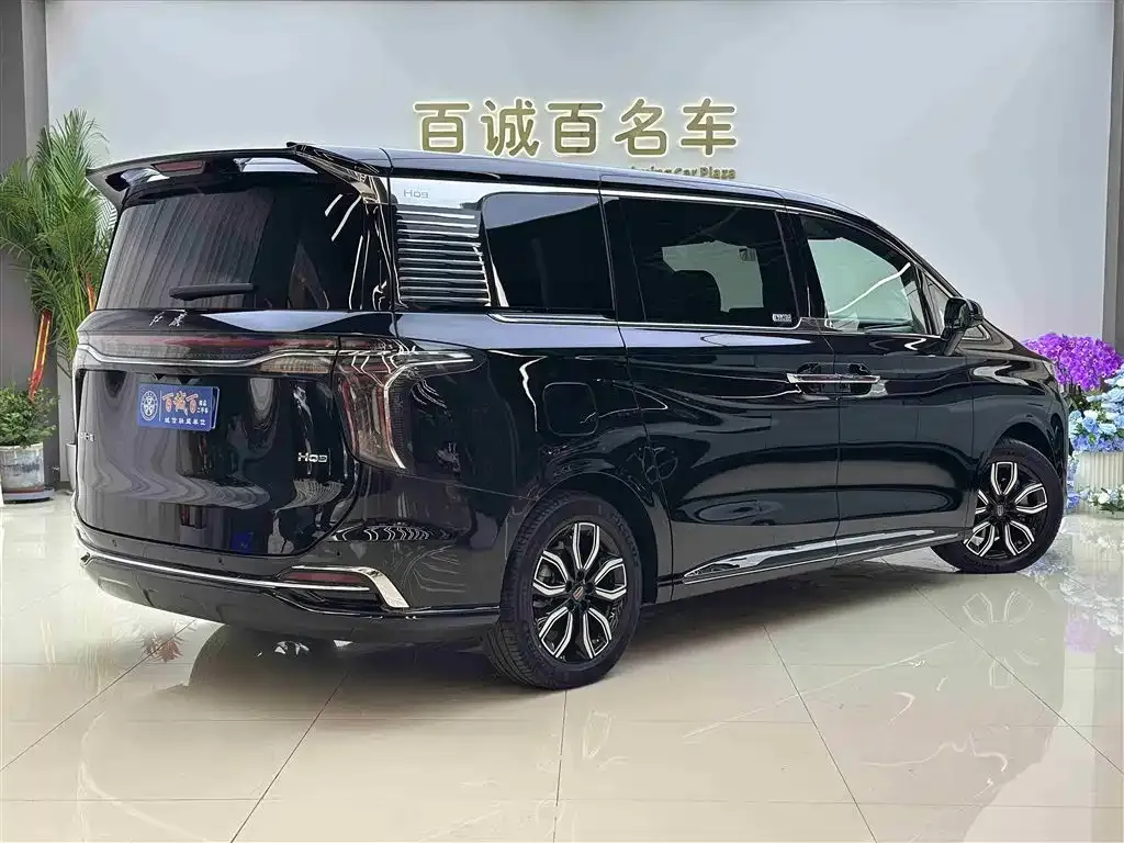 Hongqi HQ9 — фото 6