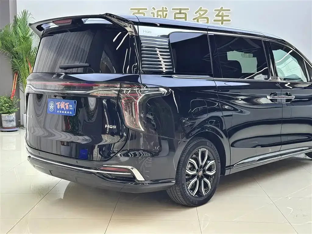 Hongqi HQ9 — фото 7