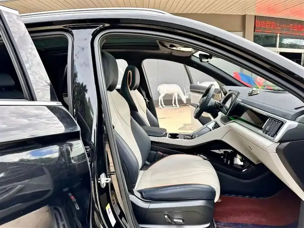 BYD PLUS New Energy — фото 10