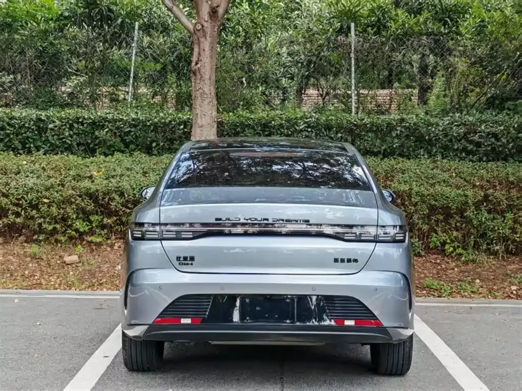BYD Destroyer 05 — фото 10