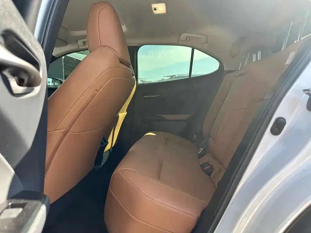 Lexus UX New Energy — фото 10