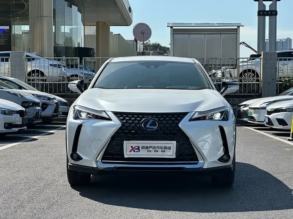 Lexus UX New Energy — фото 3
