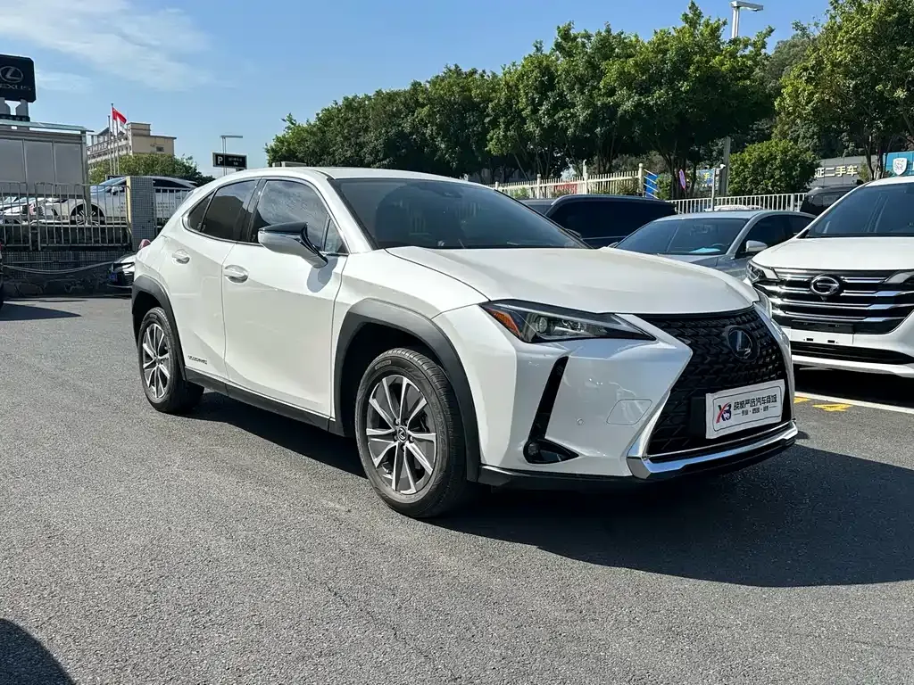 Lexus UX New Energy — фото 4
