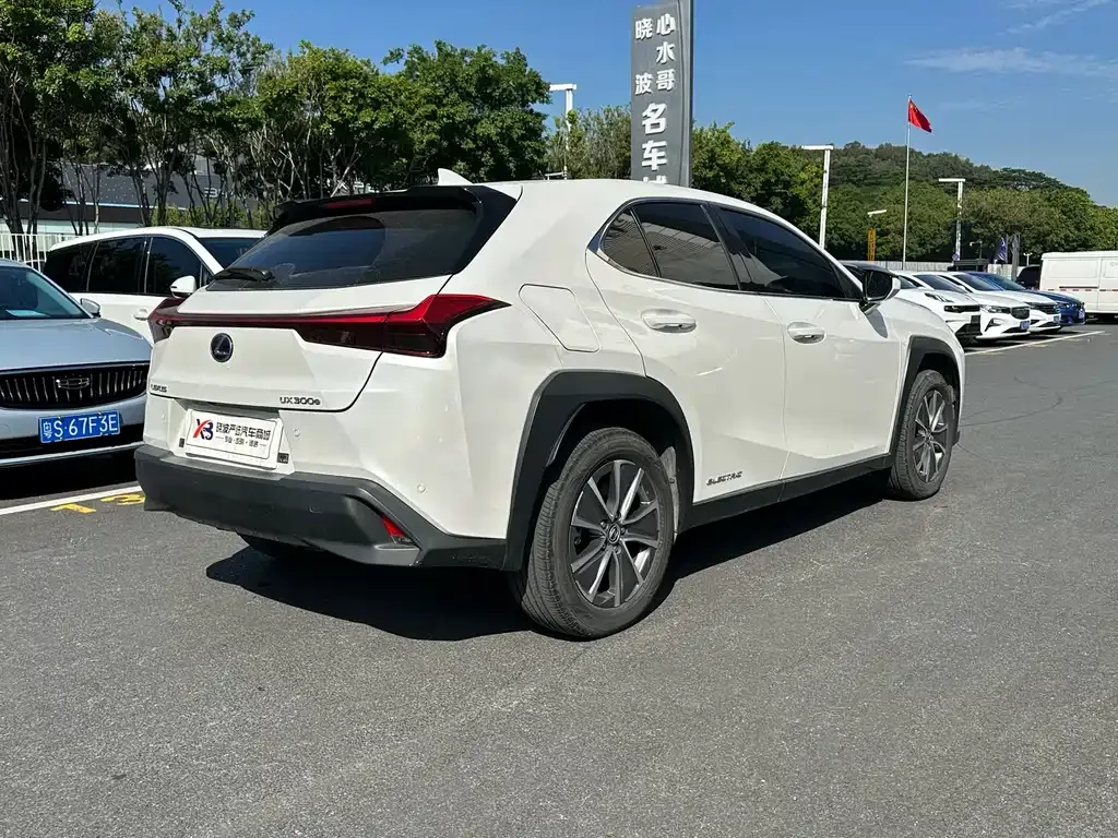 Lexus UX New Energy — фото 7