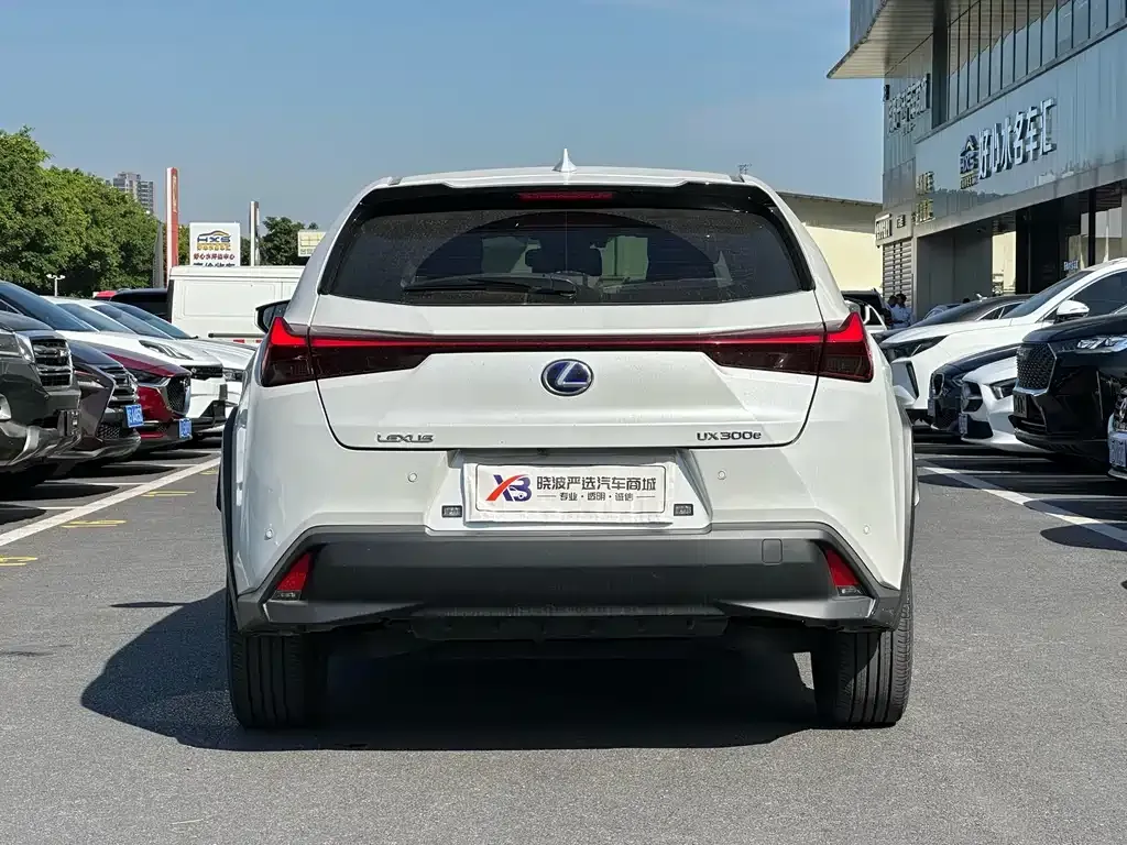 Lexus UX New Energy — фото 8