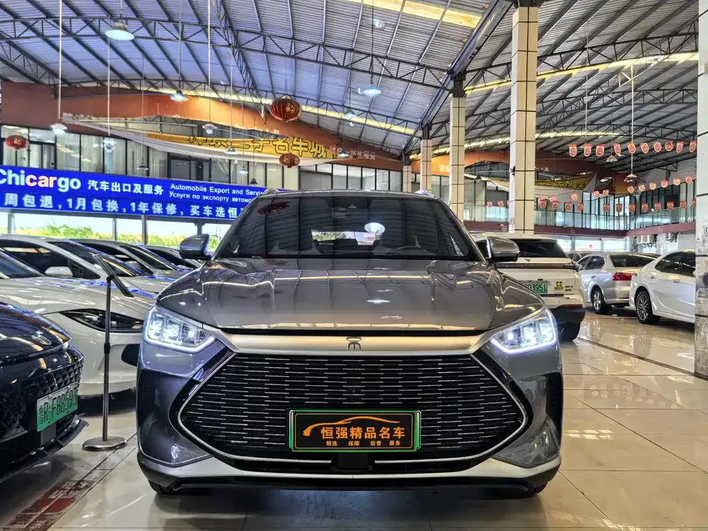 BYD PLUS New Energy — фото 2