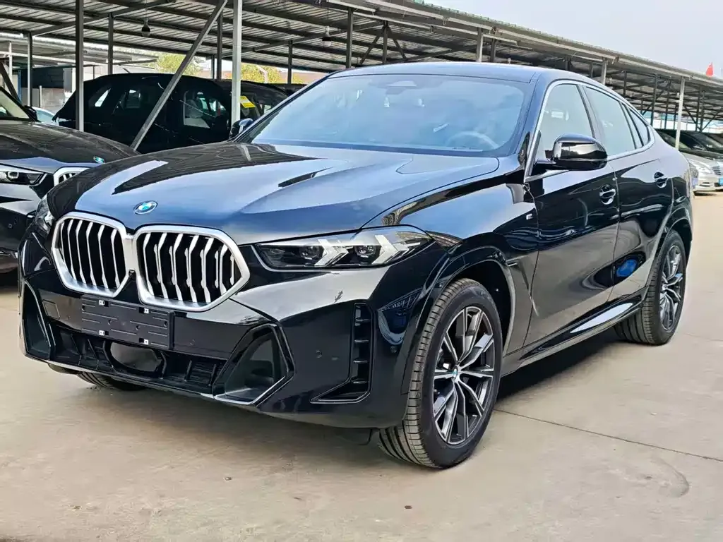 BMW X6 — фото 1