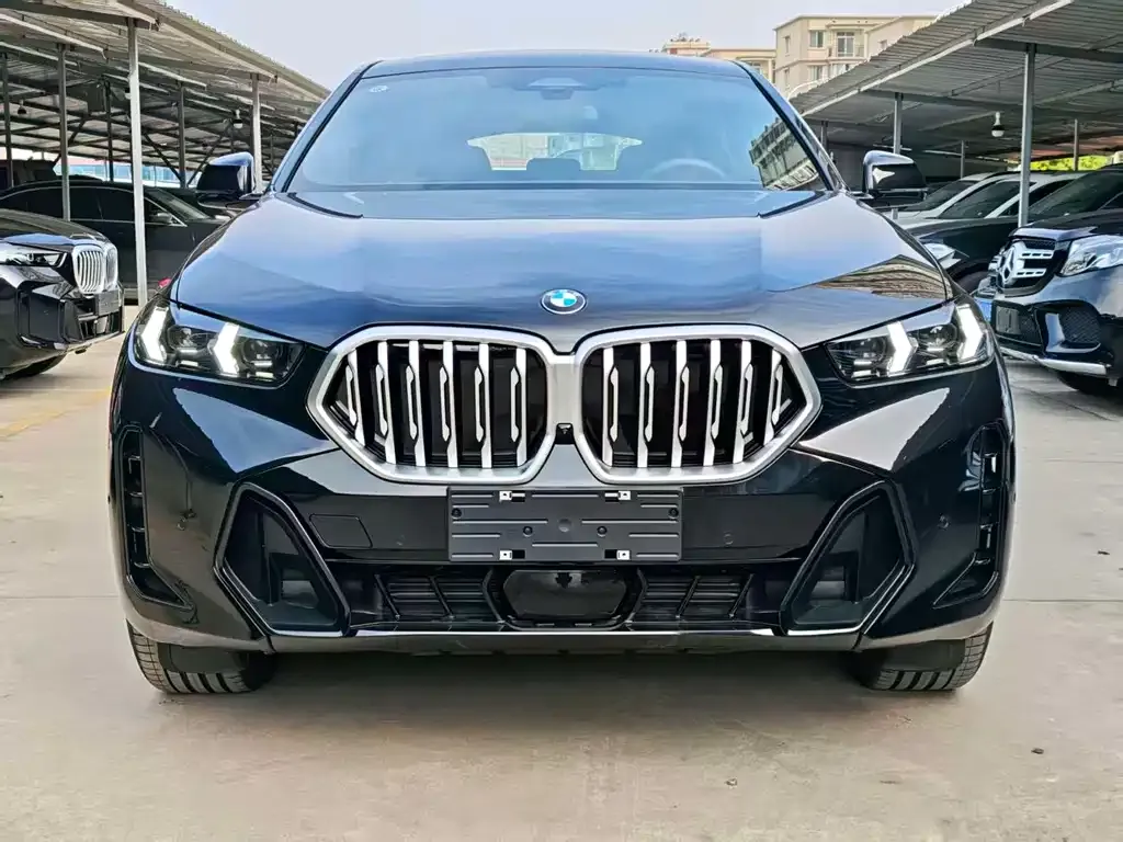 BMW X6 — фото 2