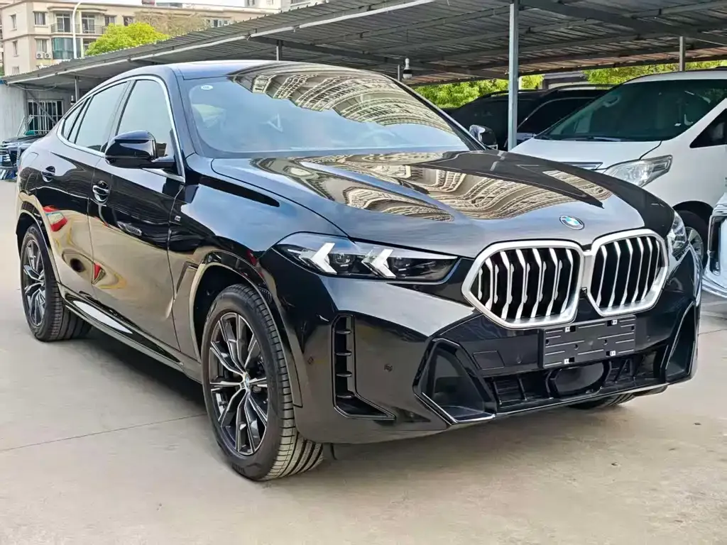 BMW X6 — фото 3