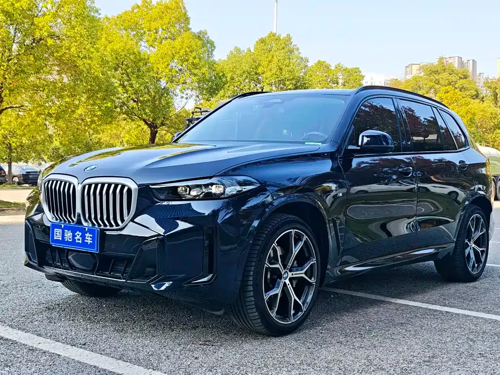 BMW X5 — фото 1