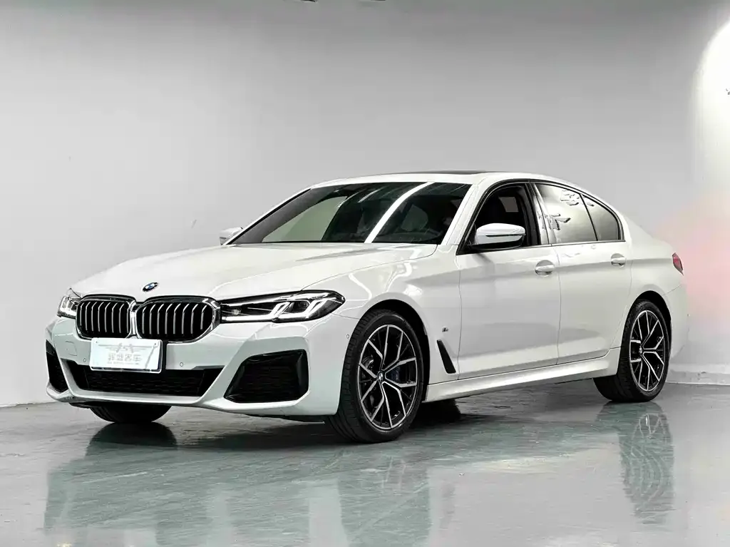 BMW 5 Series (Import) — фото 1