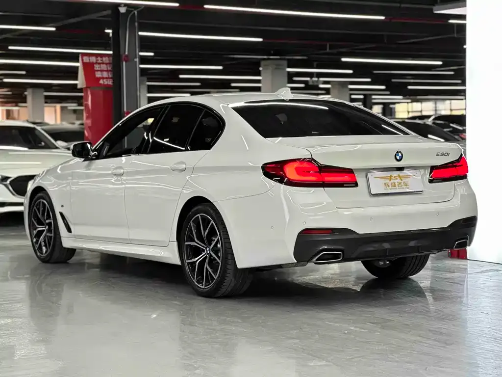 BMW 5 Series (Import) — фото 4
