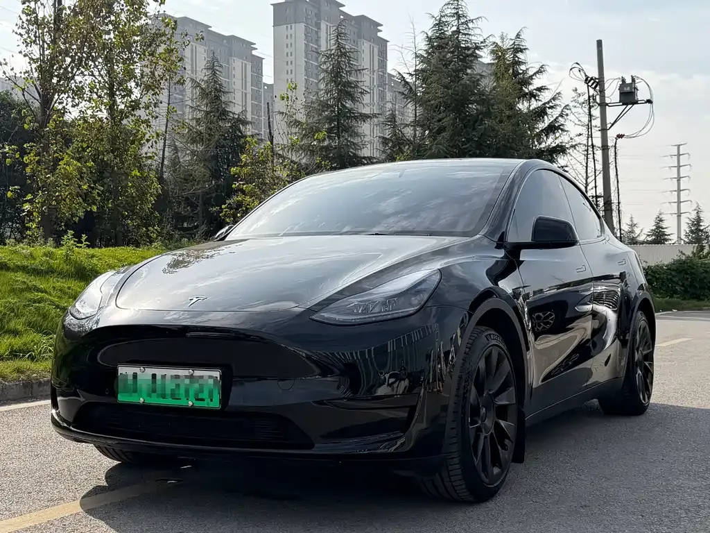 Tesla Model Y — фото 1