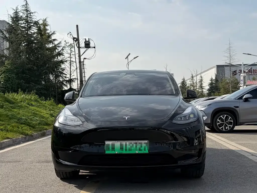 Tesla Model Y — фото 2