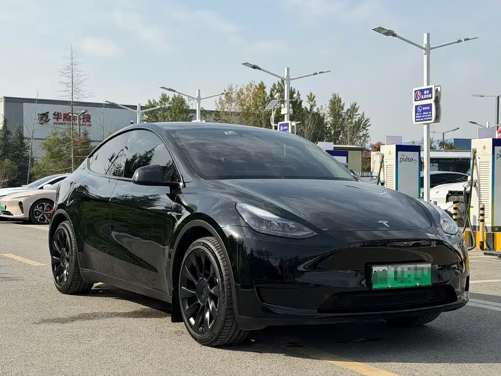 Tesla Model Y — фото 3