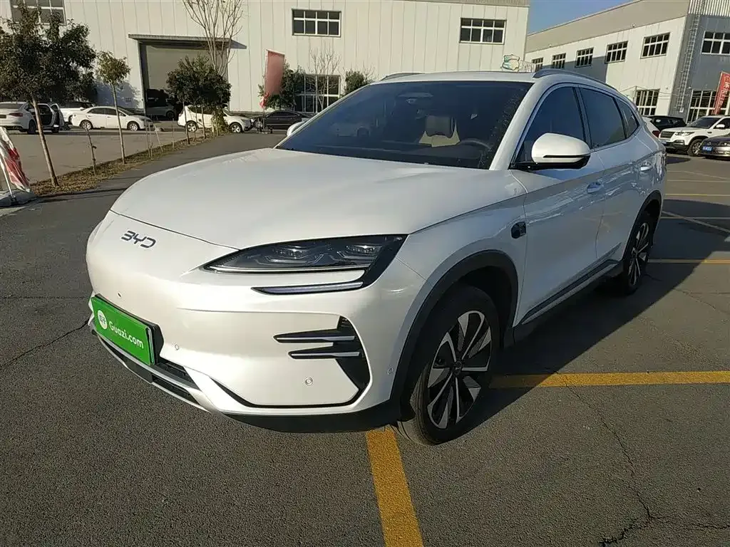 BYD PLUS New Energy — фото 1