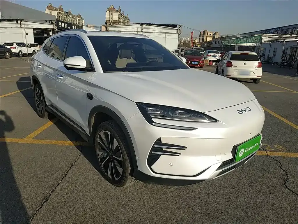 BYD PLUS New Energy — фото 4