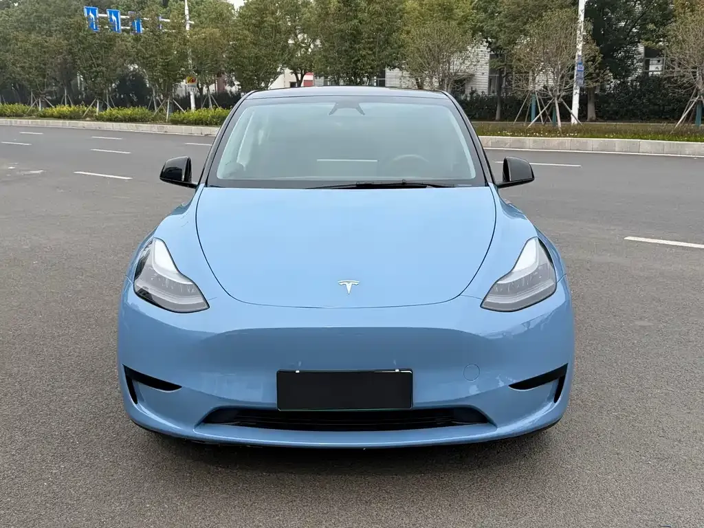 Tesla Model Y — фото 2
