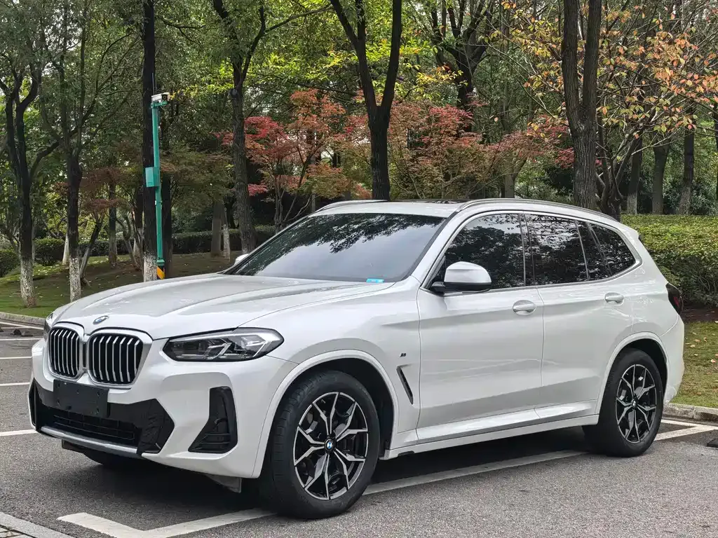 BMW X3 — фото 1