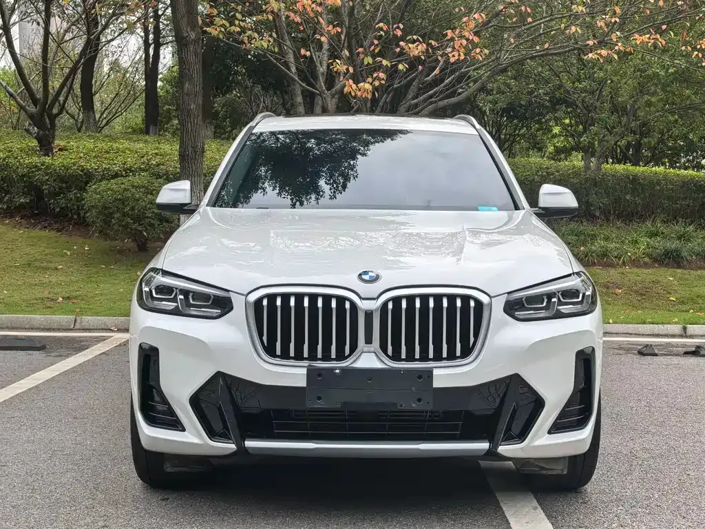 BMW X3 — фото 2