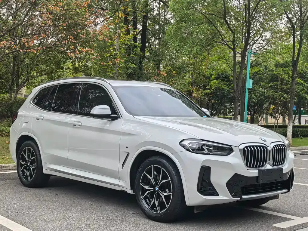 BMW X3 — фото 3