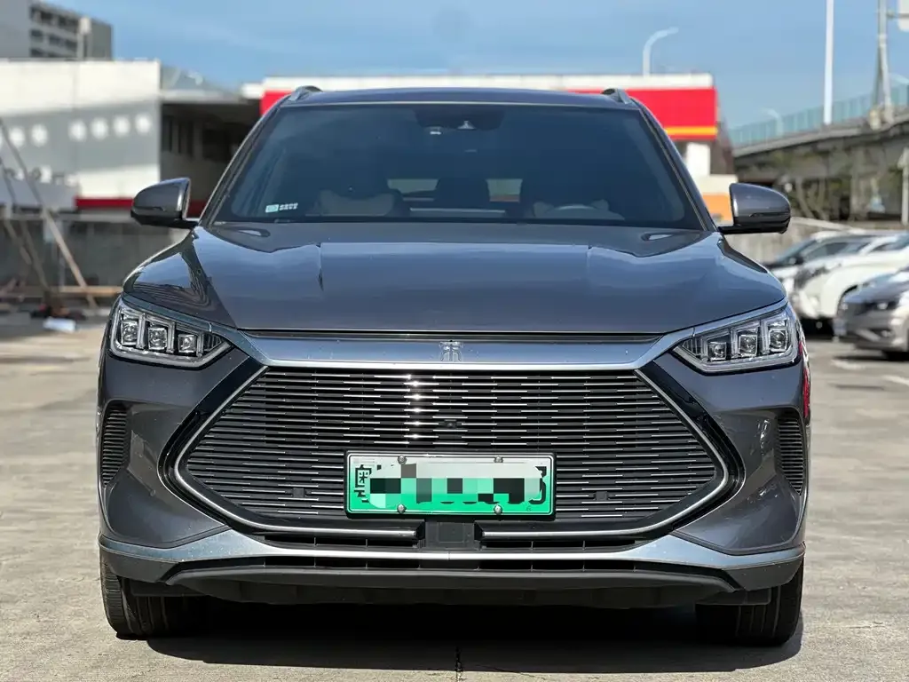 BYD PLUS New Energy — фото 2