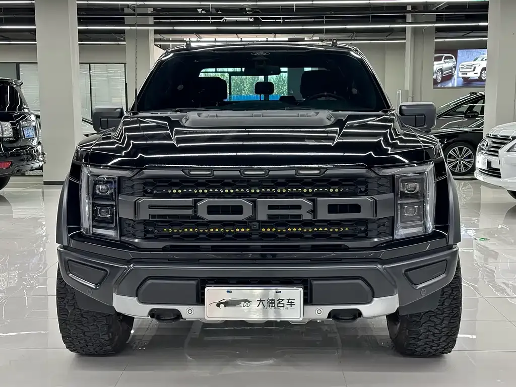 Ford F-150 Raptor — фото 1