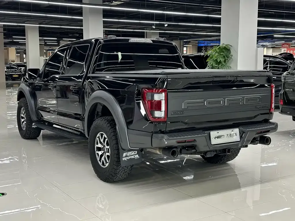 Ford F-150 Raptor — фото 6