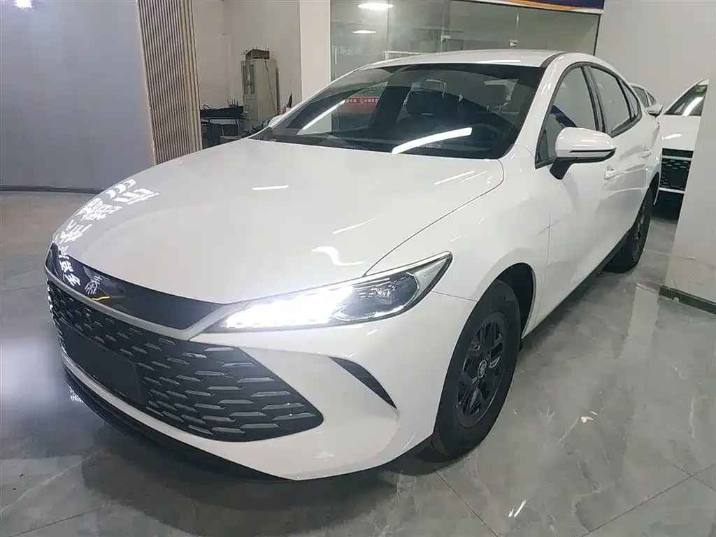 BYD Qin PLUS — фото 1
