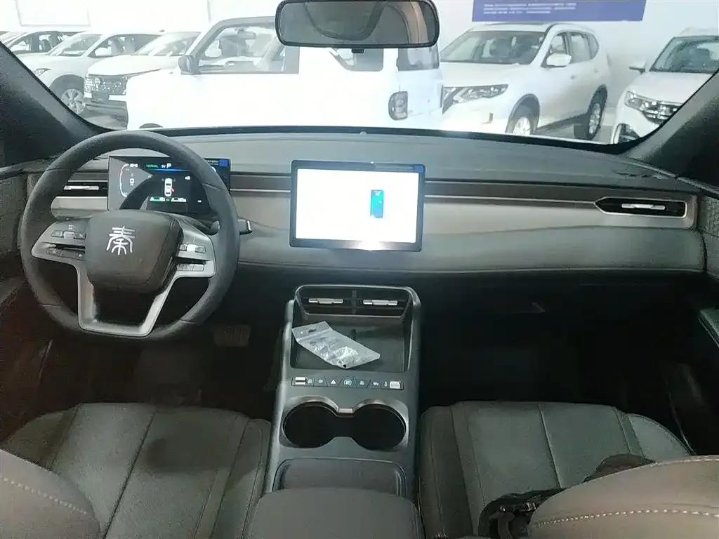 BYD Qin PLUS — фото 10