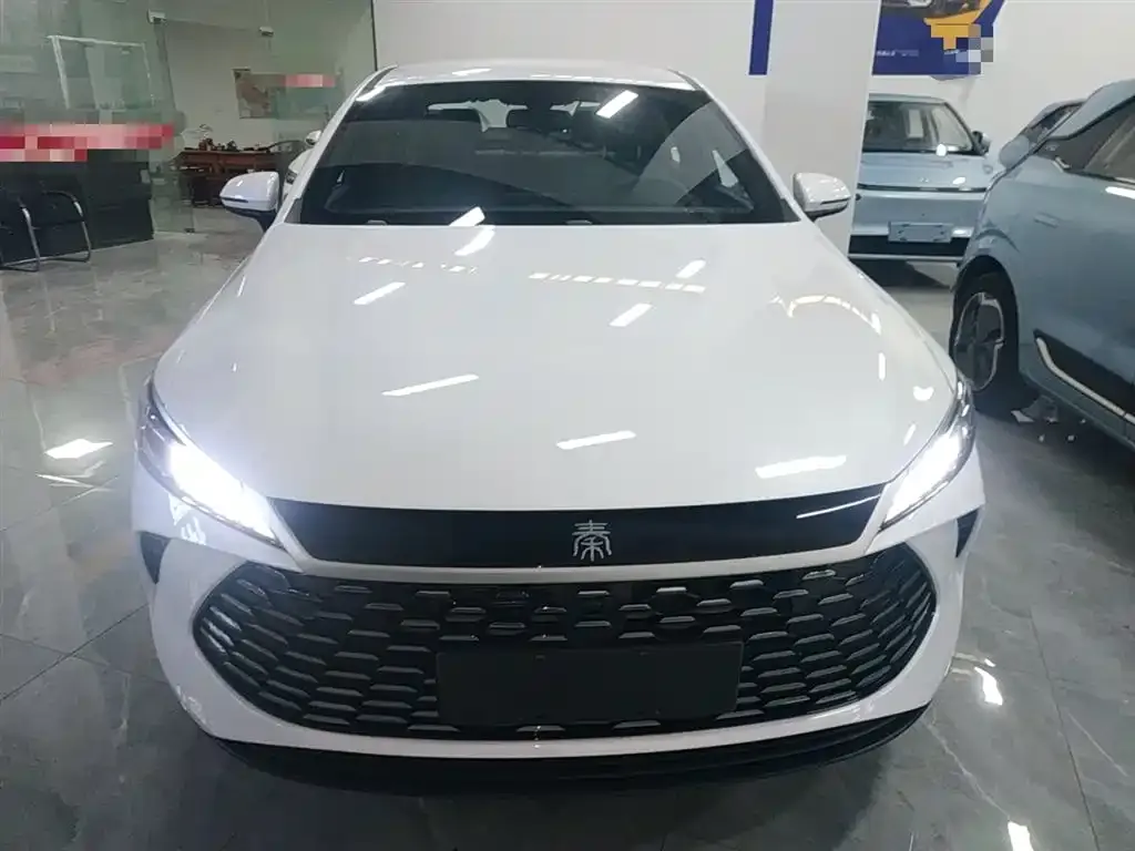 BYD Qin PLUS — фото 3