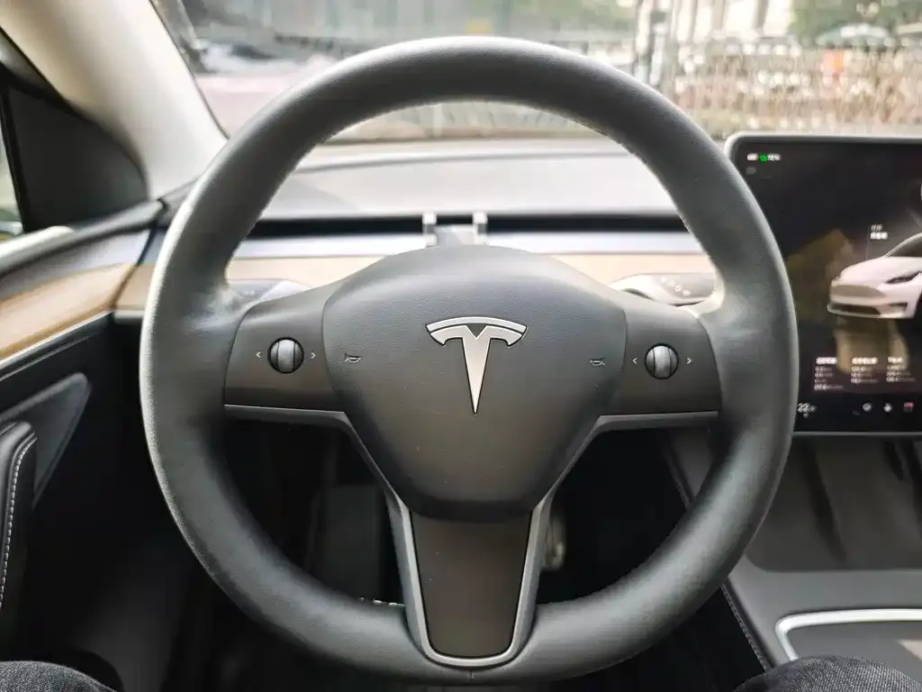 Tesla Model Y — фото 10