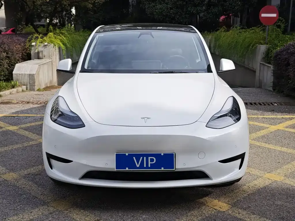 Tesla Model Y — фото 2